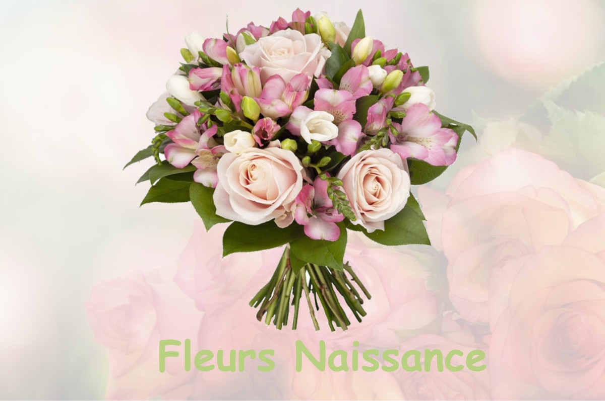 fleurs naissance NETTANCOURT