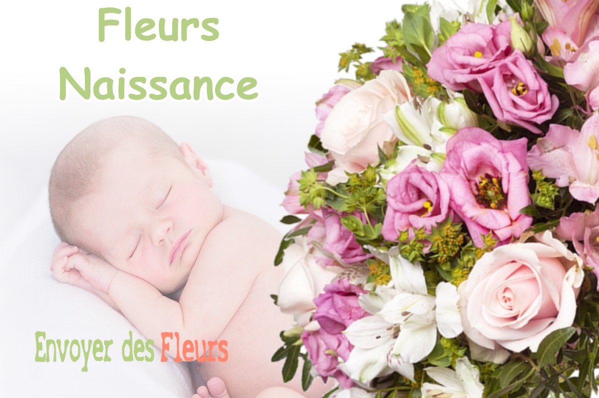 lIVRAISON FLEURS NAISSANCE à NETTANCOURT